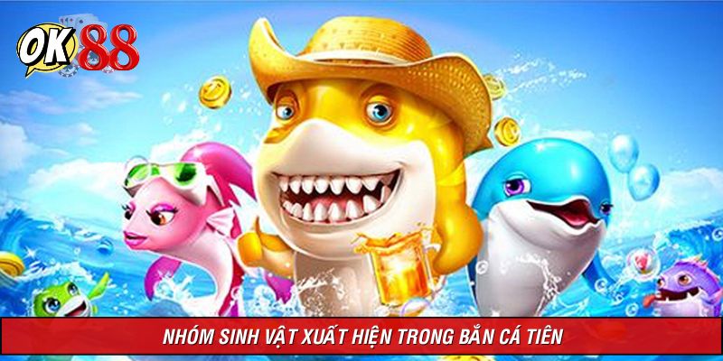 Nhóm sinh vật được phân chia trong trò chơi