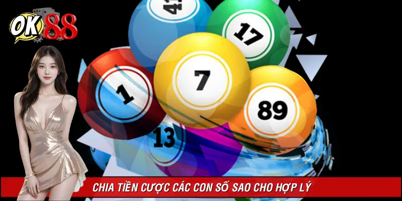 Nên phân chia tiền cược chơi dàn để hợp lý