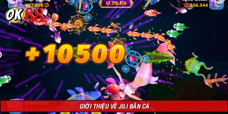 Đôi điều xoay quanh JILI bắn cá