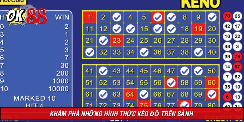 Đánh giá những hình thức kèo độ được săn đón trên website