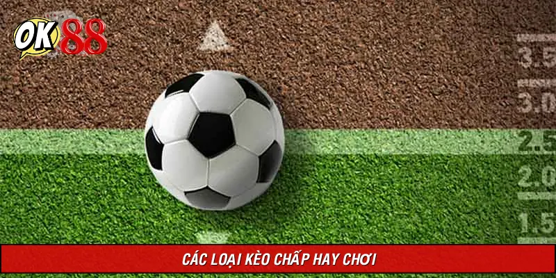 Cách đọc các loại kèo cược chấp bóng đá