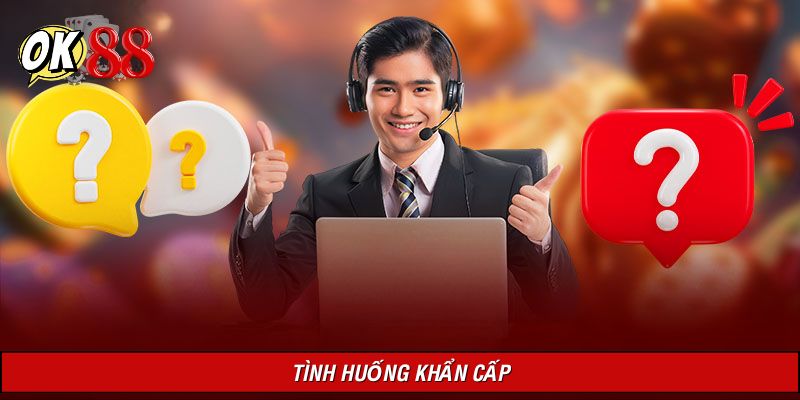 Trường hợp phải liên hệ nhà cái