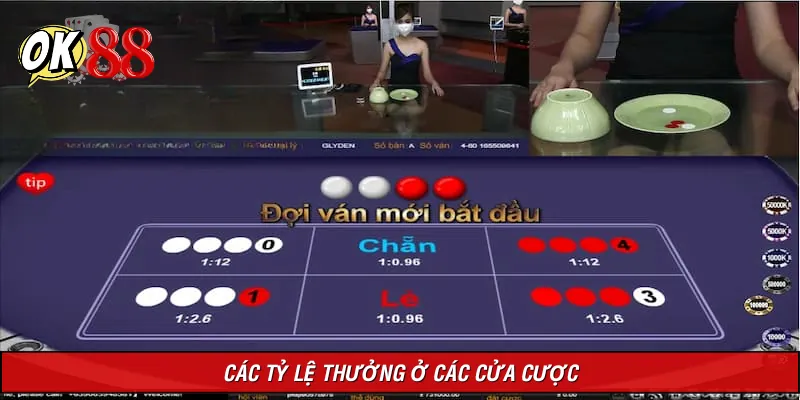 Hiểu rõ tỷ lệ thưởng để xác định lời lỗ