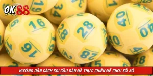 Hướng Dẫn Cách Soi Cầu Dàn Đề Thực Chiến Để Chơi Xổ Số
