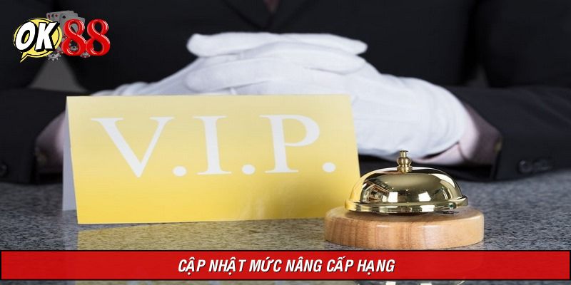 Mức nâng level của thương hiệu đưa ra