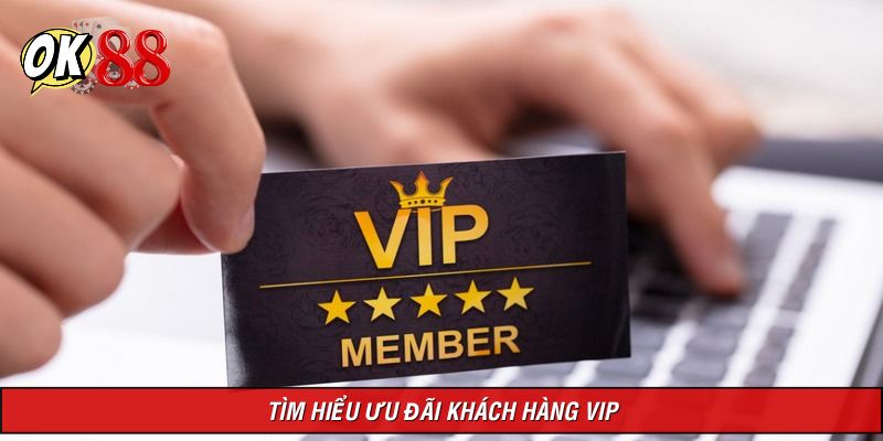 Hiểu gì về ưu đãi khách hàng VIP tại trang?
