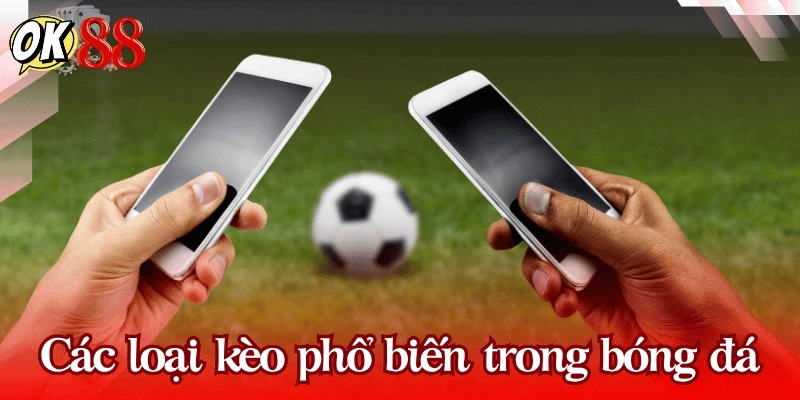 cac-loai-keo-ca-cuoc-bong-da