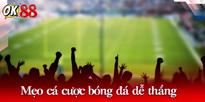 cach-ca-cuoc-bong-da