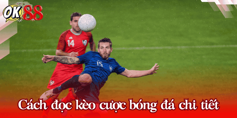 cach-doc-keo-cuoc-bong-da-tung-loai