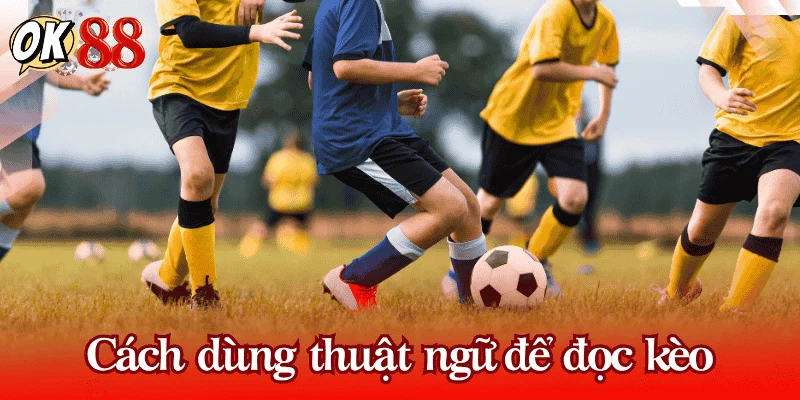 cach-dung-thuat-ngu-ca-do-bong-da