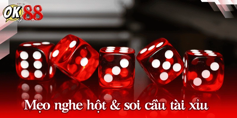 cach-nghe-hot-tai-xiu-va-soi-cau