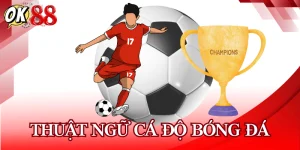 thuat-ngu-ca-do-bong-da