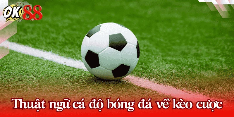 thuat-ngu-ca-do-bong-da-cac-keo-cuoc