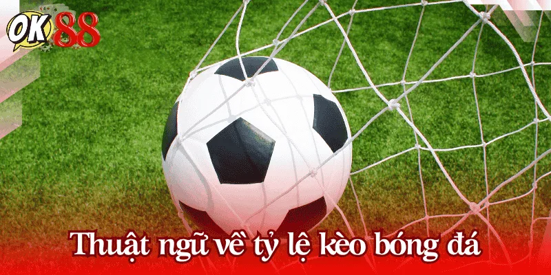 thuat-ngu-ca-do-bong-da-ty-le-keo
