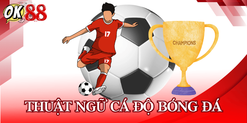 thuat-ngu-ca-do-bong-da