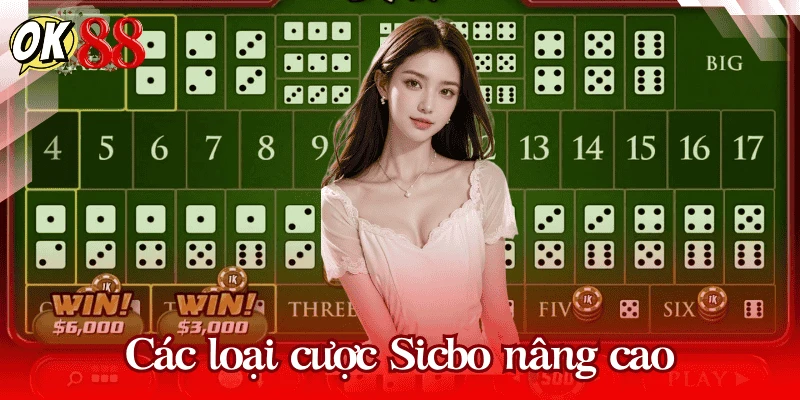 Các loại cược Sicbo nâng cao dành cho người chơi lâu năm